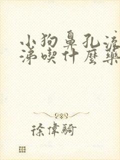 小狗鼻孔流脓鼻涕吃什么药