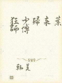 狂少归来叶修的师傅