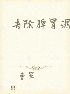 去除脾胃湿气重