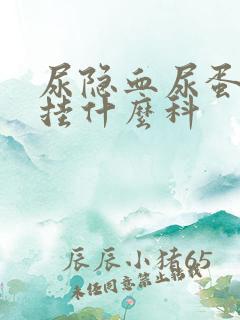 尿隐血尿蛋白高挂什么科