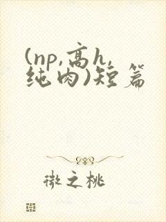 (np,高h,纯肉)短篇
