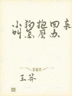 小狗抱回来一直叫怎么办