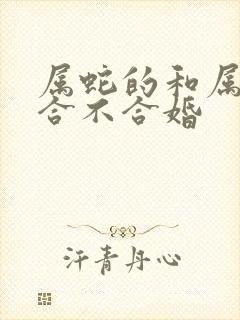 属蛇的和属羊的合不合婚