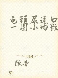 龟头尿道口长了一圈小肉粒子