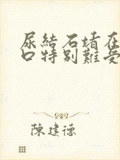 尿结石堵在尿道口特别难受怎么办