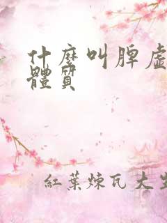 什么叫脾虚痰湿体质