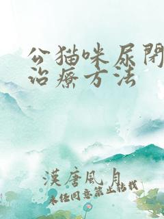 公猫咪尿闭最佳治疗方法