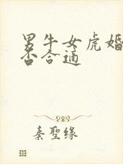 男牛女虎婚配是否合适