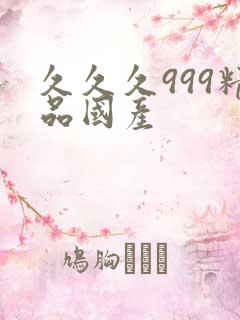 久久久999精品国产