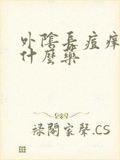 外阴长痘痒痛用什么药