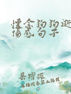 怀念狗狗逝世的伤感句子