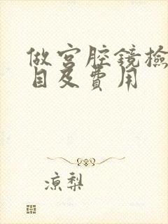 做宫腔镜检查项目及费用