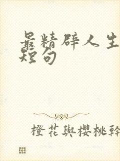 最精辟人生感悟短句