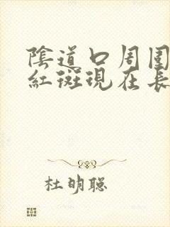 阴道口周围有2红斑现在长大了