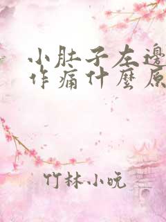 小肚子左边隐隐作痛什么原因女性