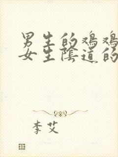 男生的鸡鸡插入女生阴道的视频