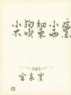 小狗细小病好了不吃东西怎么办