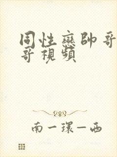 同性恋帅哥操帅哥视频