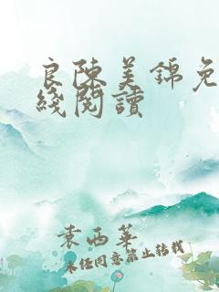 良陈美锦免费在线阅读