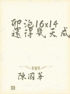 卵泡16x14还得几天成熟