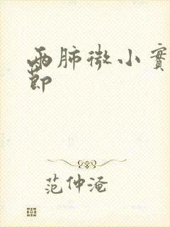 两肺微小实性结节