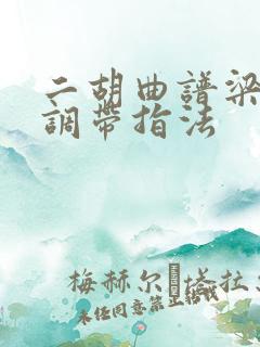 二胡曲谱梁祝g调带指法