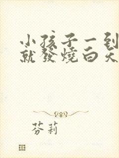 小孩子一到晚上就发烧白天就正常