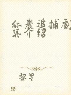 红岩追捕剧情分集介绍