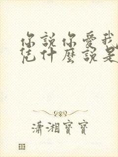 你说你爱我爱我凭什么说是什么歌