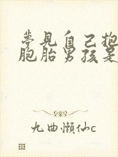 梦见自己抱着双胞胎男孩是什么意思