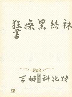 狂操黑丝袜女秘书