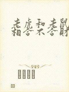 老虎和老鼠的属相合不合财运