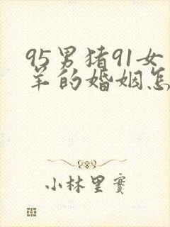 95男猪91女羊的婚姻怎么样