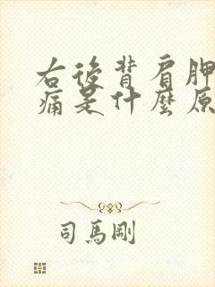 右后背肩胛骨疼痛是什么原因女性