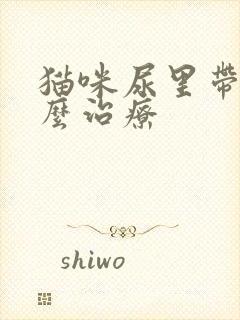 猫咪尿里带血怎么治疗