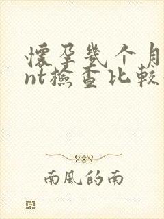 怀孕几个月能做nt检查比较好