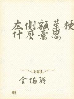 左侧额叶梗死灶什么意思