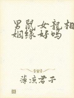 男鼠女龙相配的姻缘好吗