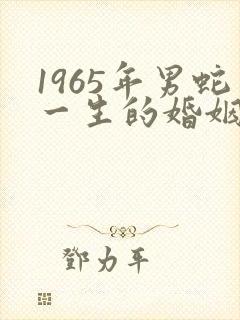 1965年男蛇一生的婚姻及命运