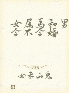 女属马和男属鸡合不合婚