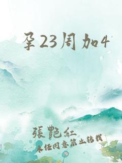 孕23周加4
