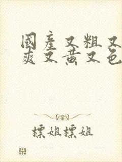 国产又粗又猛又爽又黄又色.?