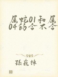 属蛇01和属猴04的合不合婚