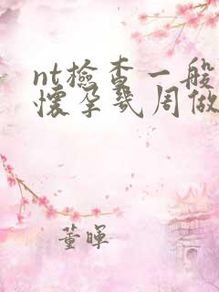 nt检查一般在怀孕几周做最好