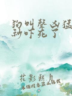 狗叫声凶猛60秒吓死了