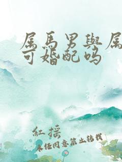 属马男与属牛女可婚配吗