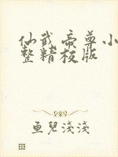 仙武帝尊小说完整精校版