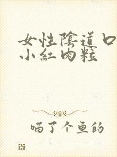 女性阴道口起的小红肉粒