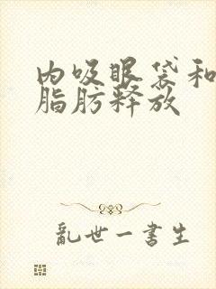 内吸眼袋和眶隔脂肪释放