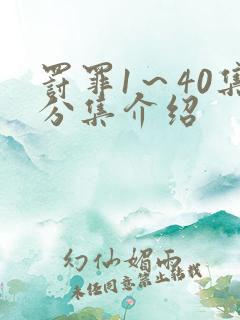 罚罪1～40集分集介绍